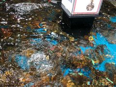-盒马鲜生(曜一城店)