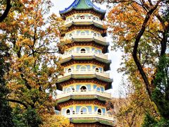 -灵谷景区