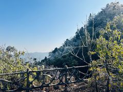 -永州阳明山国家森林公园