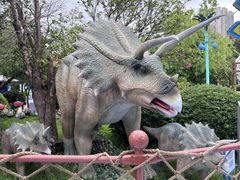 -海合安武汉极地海洋公园