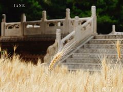-北京古代建筑博物馆