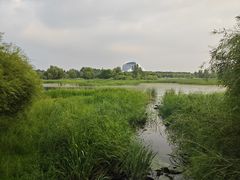 -哈尔滨大剧院