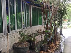 -竹泉农庄·竹筒饭(从化店)