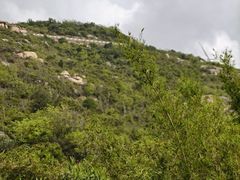 -东澳岛