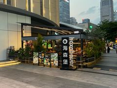 -haxnbauer海森堡德国餐厅(深圳coco店)
