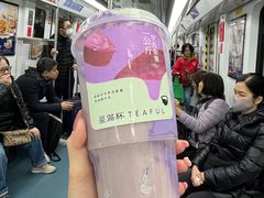 -星满杯TEAFUL(罗湖东门店)
