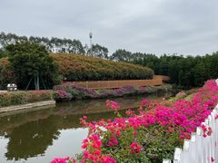 -迪茵湖田家舍生态农场