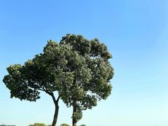 -西山漾湿地公园