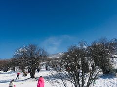 -太子岭滑雪场