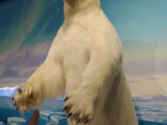 -陕西自然博物馆