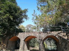 -佛山市三水区大南山森林公园