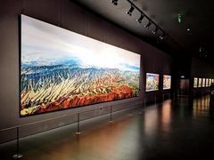 -罗红摄影艺术馆