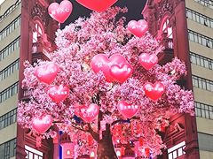 -黄兴南路步行商业街