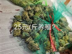 -金茂览秀城