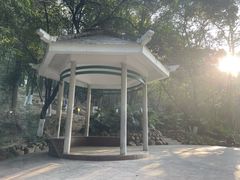 -火炉山森林公园