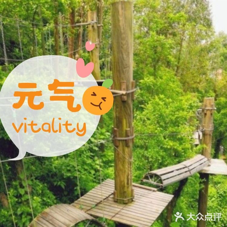 真的太棒了！️温馨提示：适合4-12岁的孩子