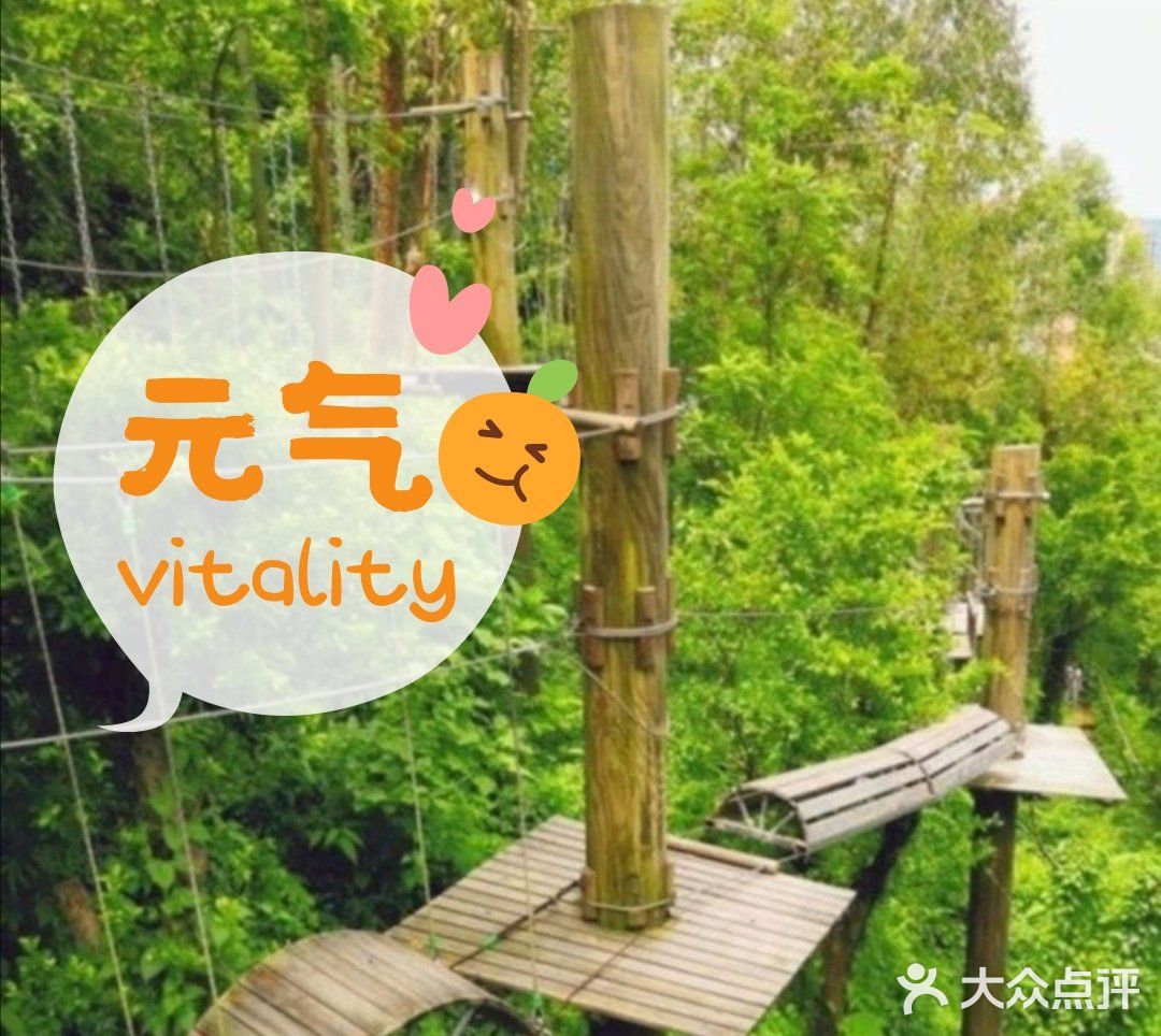 真的太棒了！️温馨提示：适合4-12岁的孩子