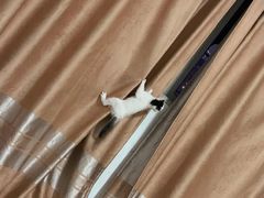 -贝利宠物医院·骨科·眼科·肿瘤转诊中心(南坪诊疗中心)