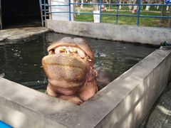 -银川动物园