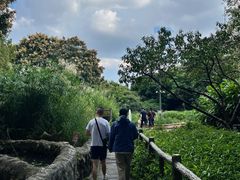 -成都市活水公园