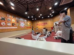 -和它·交个朋友·狗咖猫咖(爱琴海店)