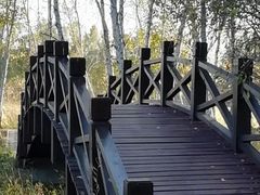 -塞罕坝国家级自然保护区