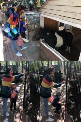 -萌宠亲子动物乐园(槐房万达店)