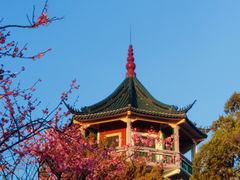 -无锡梅园公园