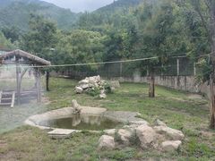 -西安秦岭野生动物园