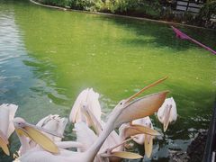 -云南野生动物园