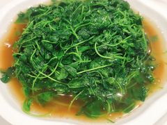 -泰煌鸡·上海白斩鸡·沪菜(平利店)