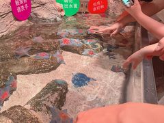 -沈阳海洋探索中心