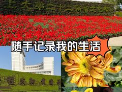 -上海大学(宝山校区)