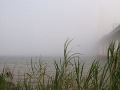 -西堤公园