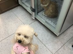 -FAELING PETS美天灵宠物(富力广场店)
