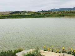 景点-光明小镇欢乐田园