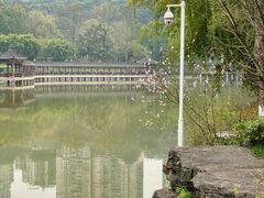 -龙头寺公园