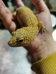 -酷嗒动物文化乐园(cutezoo西溪乐天城店)