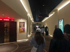 -嘉华国际影城(学清路店)