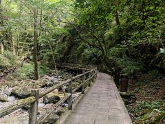 -牛背梁国家森林公园