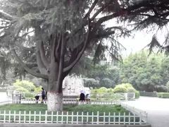 -陕西师范大学(雁塔校区)