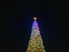 -Lotso Lunch Box 草莓熊餐盒