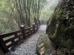 -缙云山景区