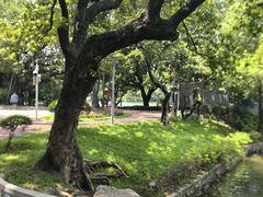 -荔湾湖公园
