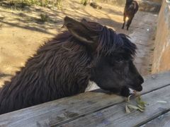 -昆明动物园