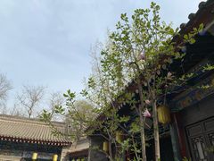 -湘子庙