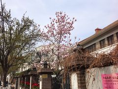 -天津五大道文化旅游区