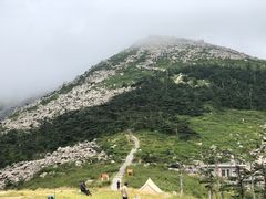 -朱雀国家森林公园