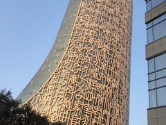 -安徽广播电视台