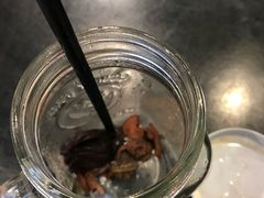 -大王油茶(二厂文创公园店)